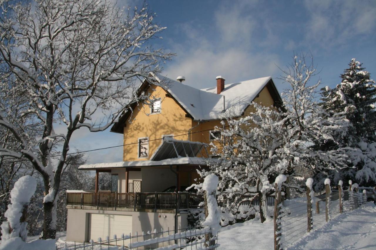 Alte Volksschule - Schual In Gradne Apartamento Liebenfels Exterior foto